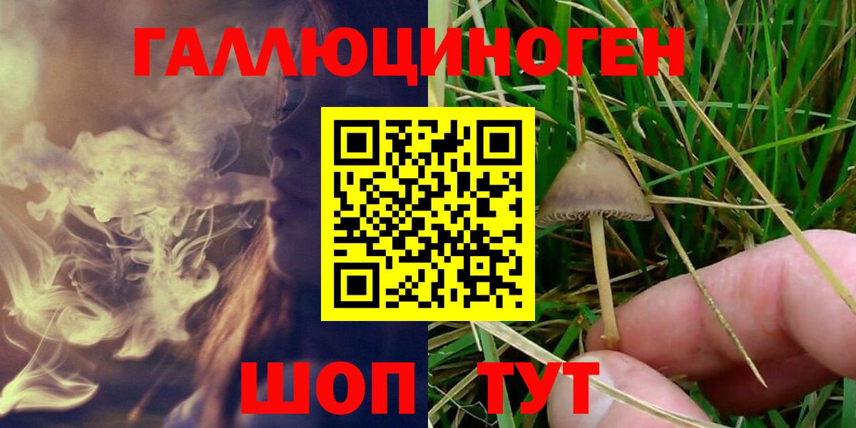 Сунжа  Галлюциногенные грибы мицелий  Галлюциногенные грибы MAGIC MUSHROOMS  Вход с VPN 