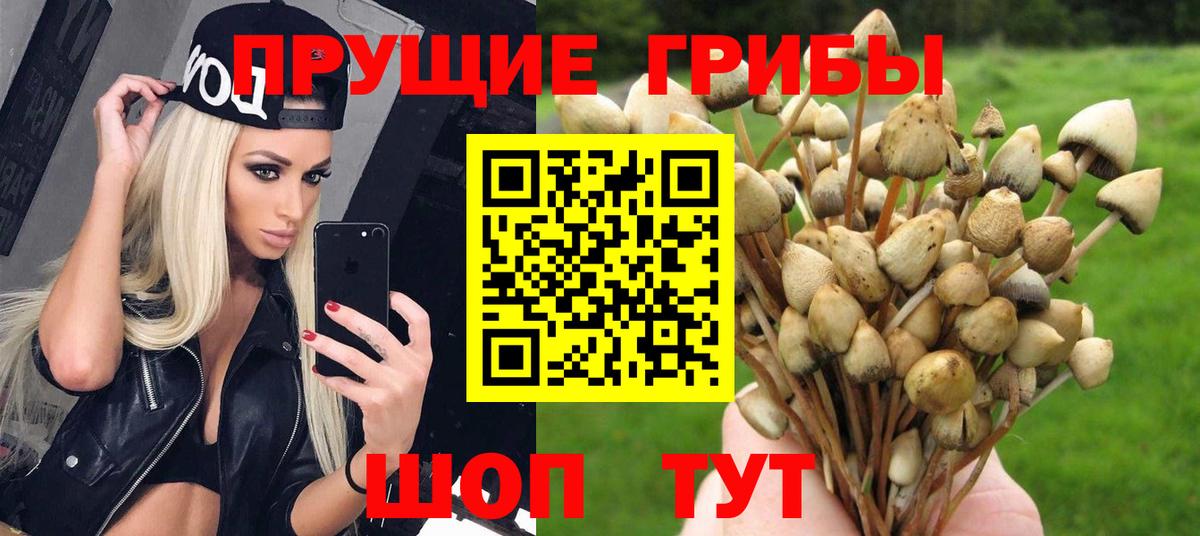 Галлюциногенные грибы ЛСД Сунжа