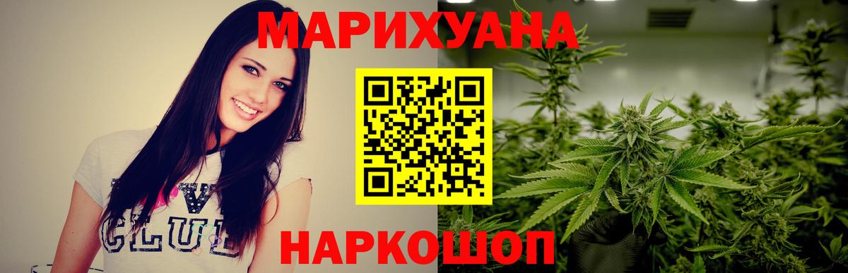 Канабис планчик Сунжа